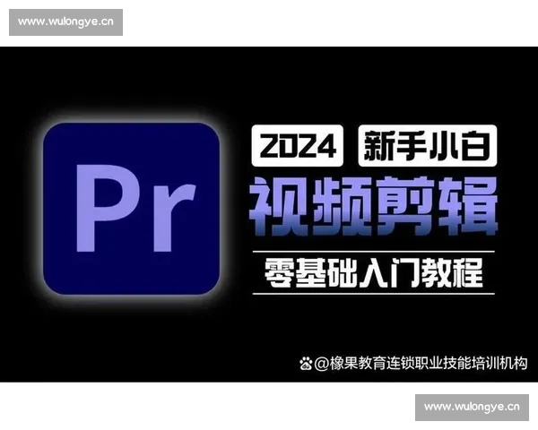 全面解析Blurrr剪辑技巧与创意应用教程从入门到精通